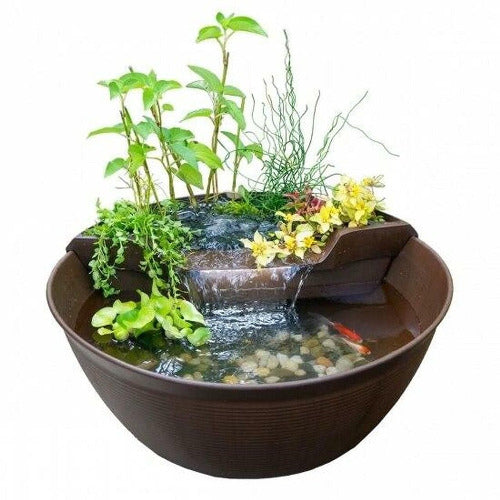 Aqualight Mini Pond Kit