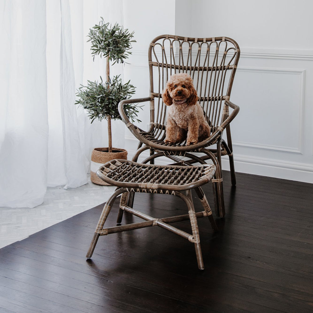 Fanchen Rattan Armchair