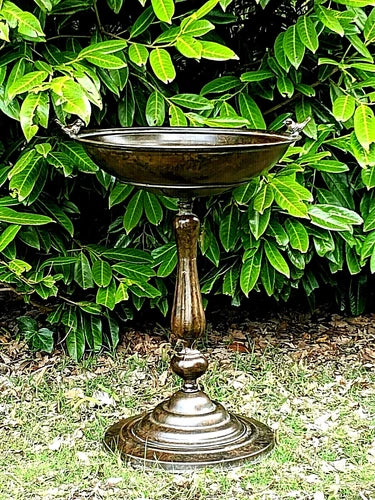 Valois Bird Bath/Feeder 75CM HIGH