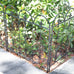 Villa Folding Metal Garden Fence - 5 Panels. White or Black