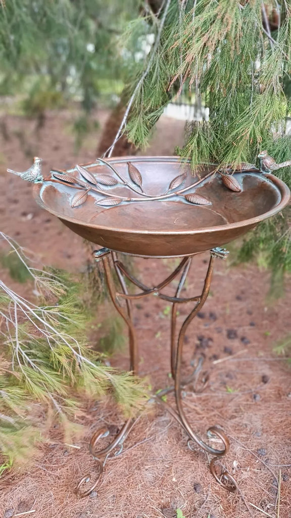 Amalie Large Birdbath/Feeder. 75 cm high