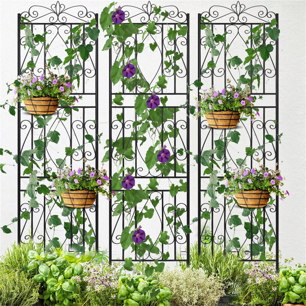 Xanthe Garden Trellis/Decorative Screens for Vines - 6 Panels