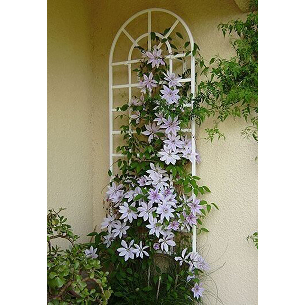 Babazon French Classical Vertical Wall Planter/Trellis - White or Black