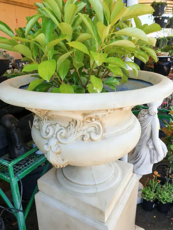 Forio Urn & Pedestal