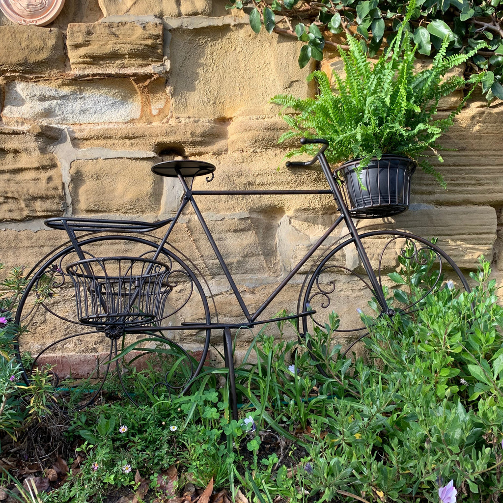 Tiburon Bicycle Planter – Brown or Cream