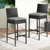 Remy Rattan Outdoor Bar Table + 2 Stools