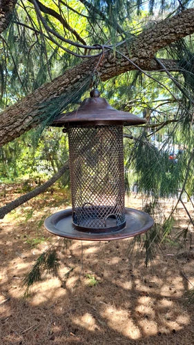 Large Native Bird Hanging Feeder
