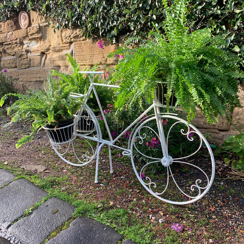 Tiburon Bicycle Planter – Brown or Cream