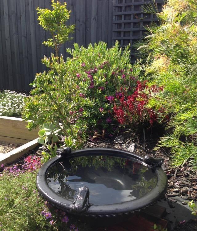 Laronde Terracotta Lily Pond