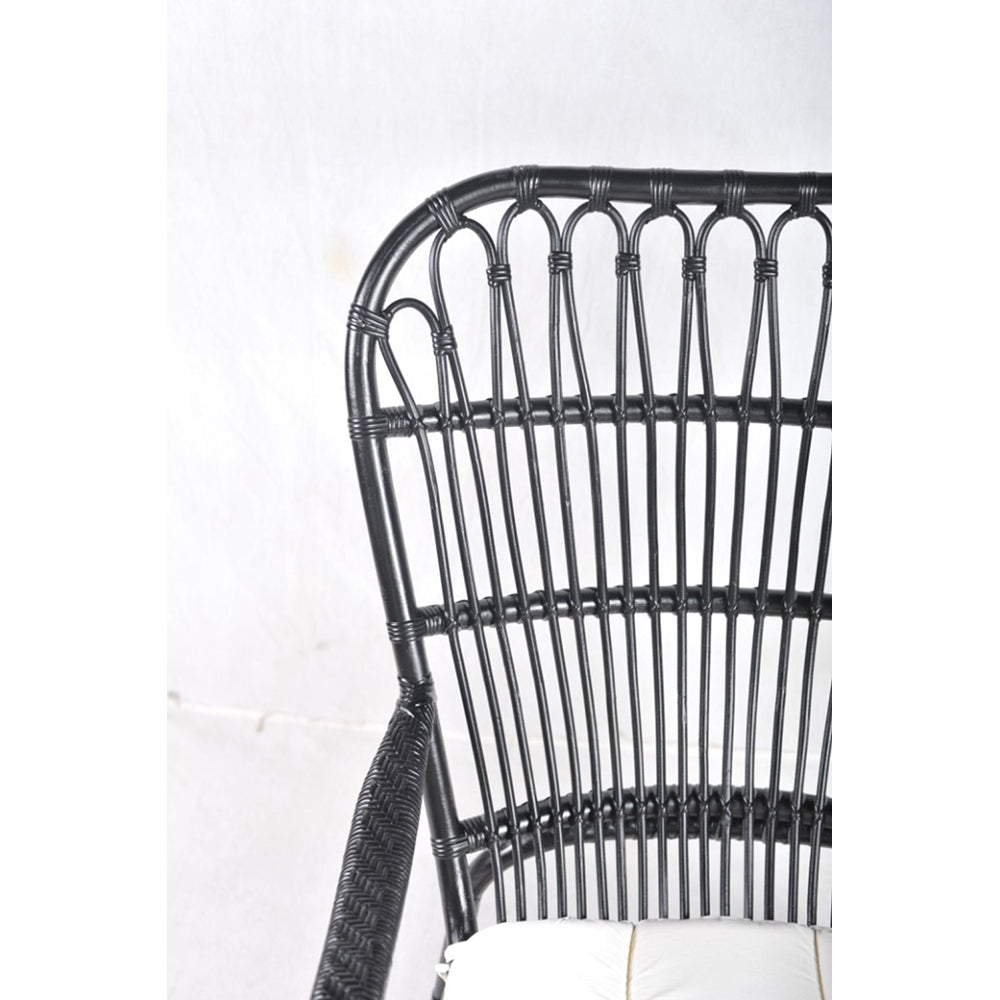 Fanchen Rattan Armchair