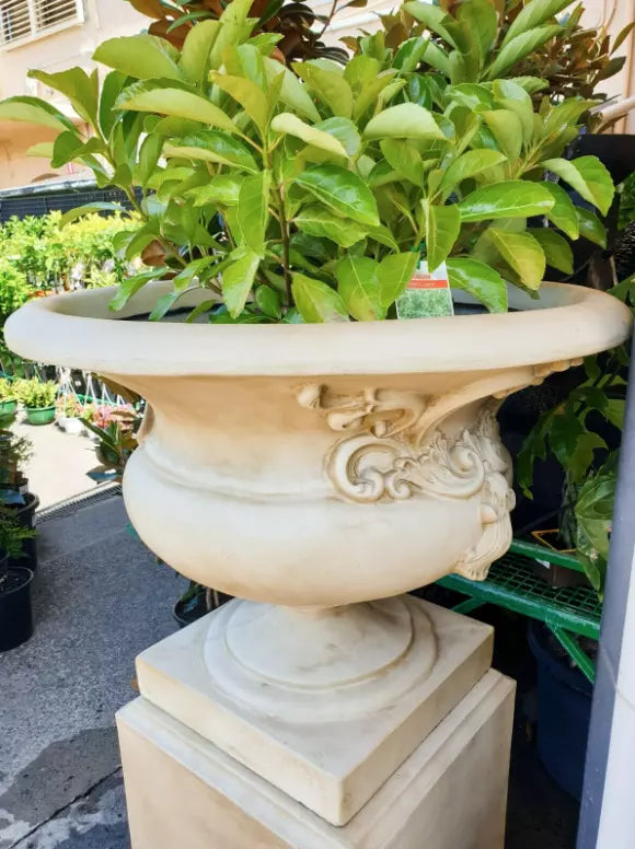 Forio Urn & Pedestal