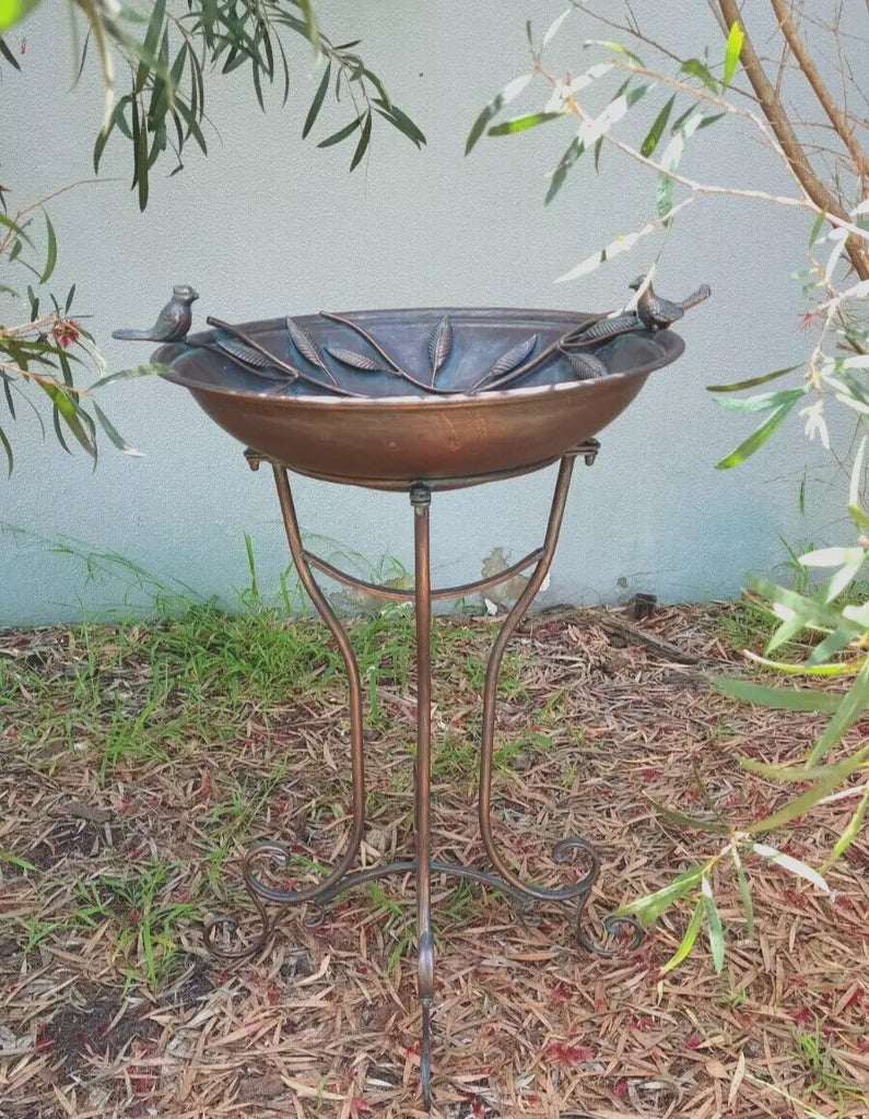 Amalie Large Birdbath/Feeder. 75 cm high