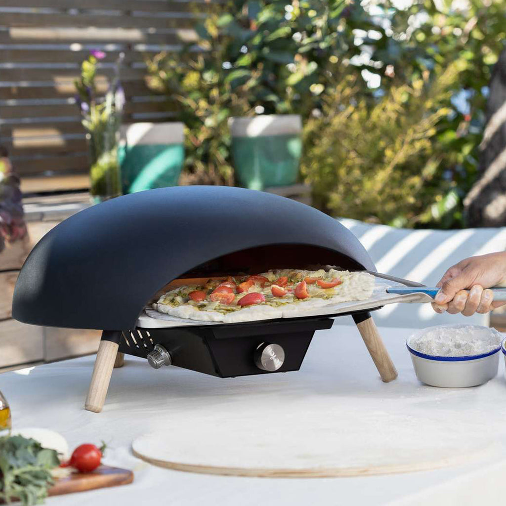 Luxury Turtle Gas Pizza Oven w/Limestone Pizza Stone + Cover