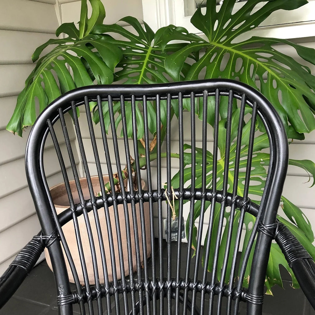 Costa Rattan Lounge Armchair - 3 Colours