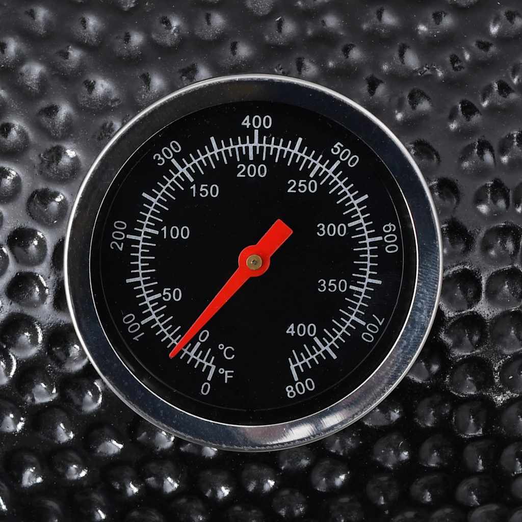 Ceramic Barbecue Grill/Smoker