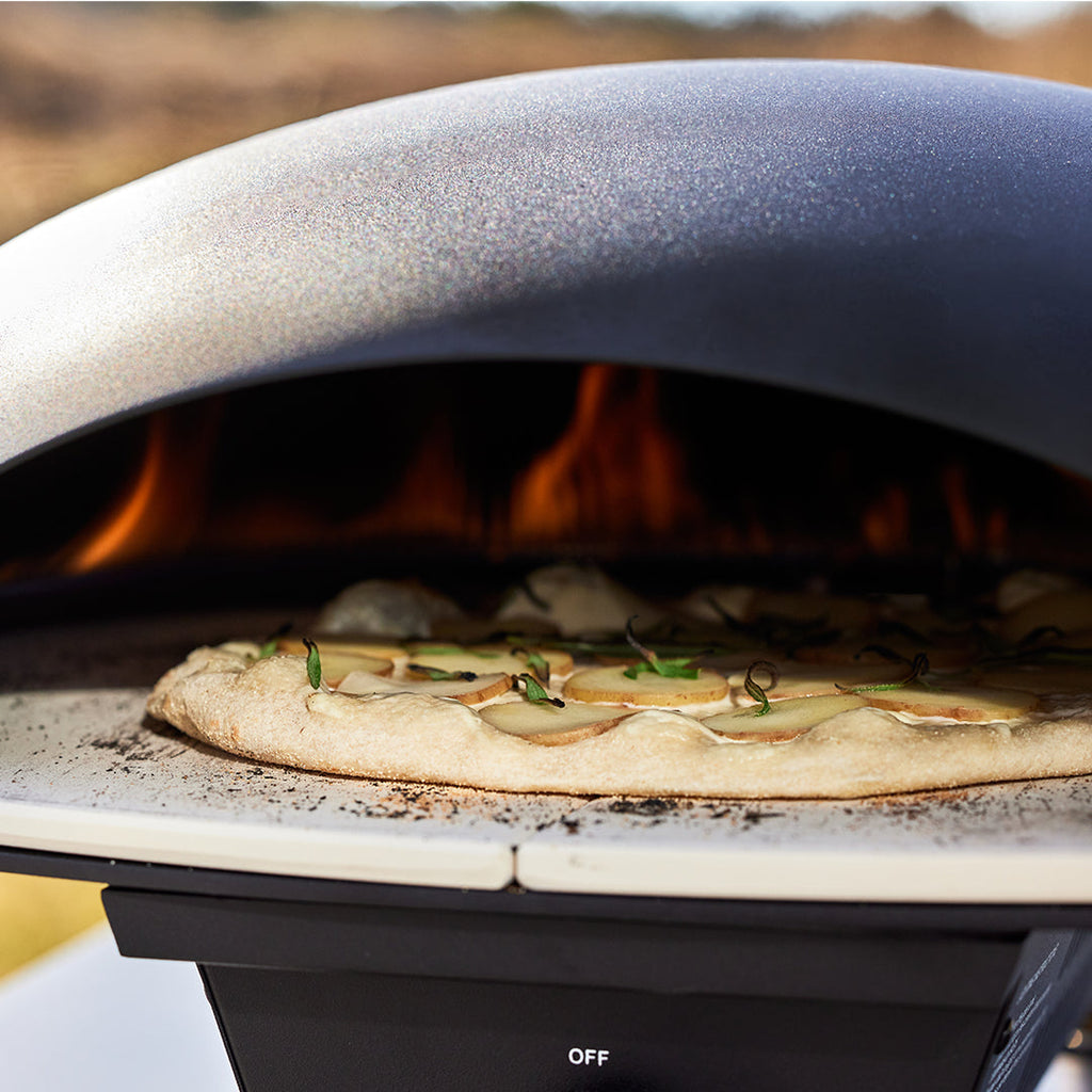 Luxury Turtle Gas Pizza Oven w/Limestone Pizza Stone + Cover