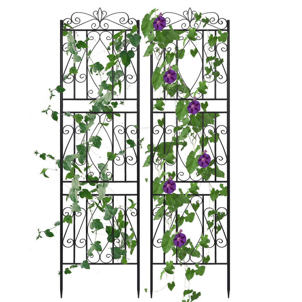 Xanthe Garden Trellis/Decorative Screens for Vines - 6 Panels