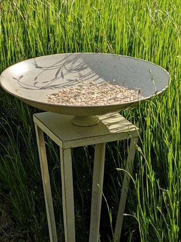 Francoise Metal Birdfeeder/Birdbath. 80cm H