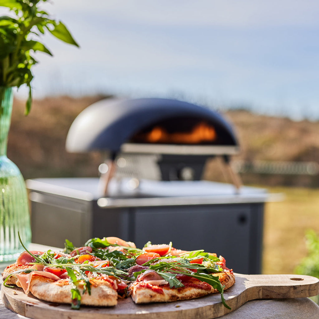 Luxury Turtle Gas Pizza Oven w/Limestone Pizza Stone + Cover