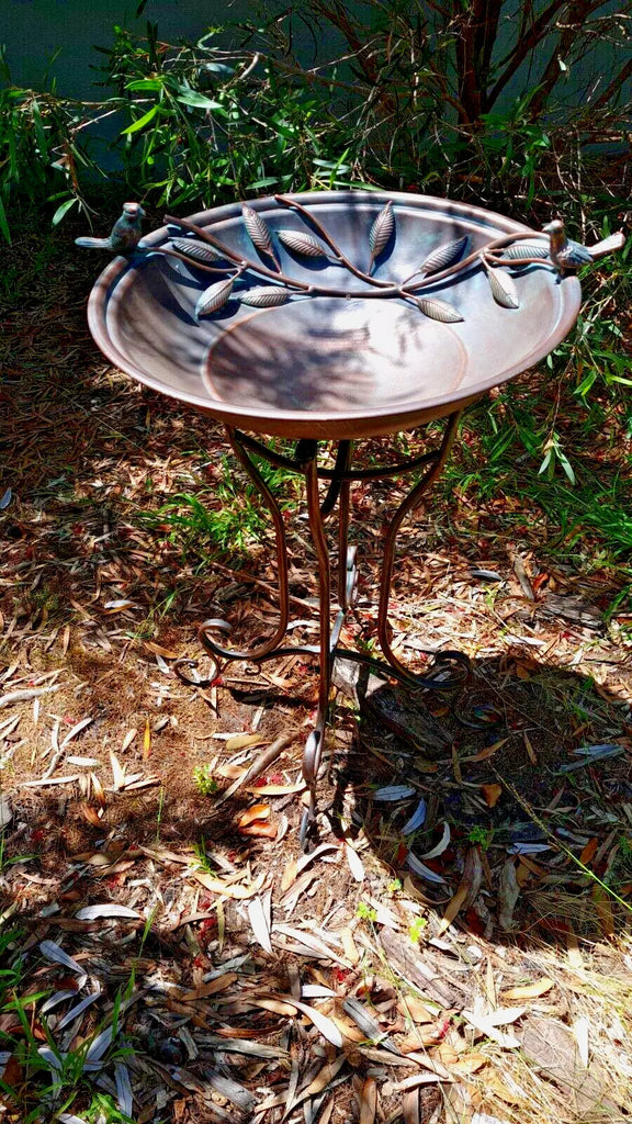 Amalie Large Birdbath/Feeder. 75 cm high