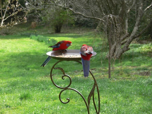 French-style Avian Bird Feeder/Bird Bath. Antique Brown