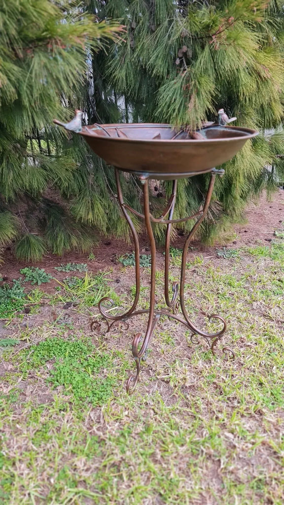 Amalie Large Birdbath/Feeder. 75 cm high