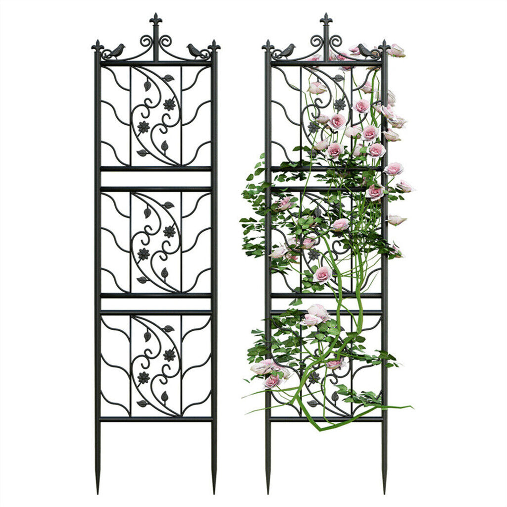 Ilana 2pcs Tall Metal Garden Trellis