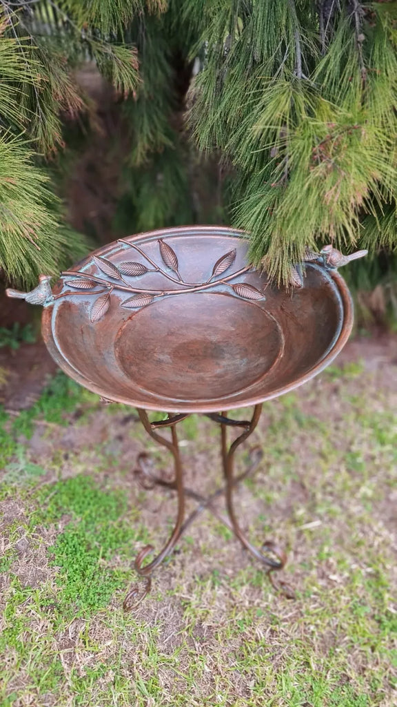 Amalie Large Birdbath/Feeder. 75 cm high