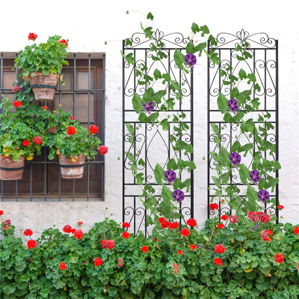 Garden Trellis/Patio Screen - 3 Designs