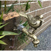 Cassio Garden Brass Tap/Faucet - 6 Different Animals