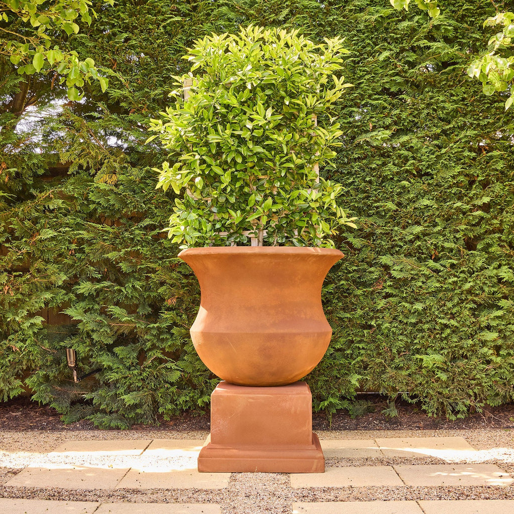 Aquaviva Concrete Garden Urn & Pedestal, Sandstone