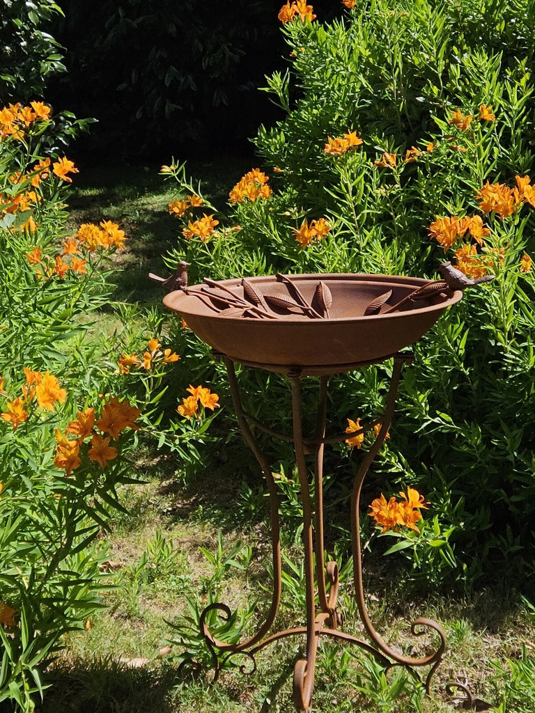 Alouette French Style Large Birdfeed/Birdbath