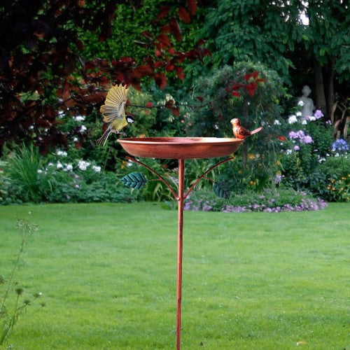 Alouette French Style Large Birdfeed/Birdbath