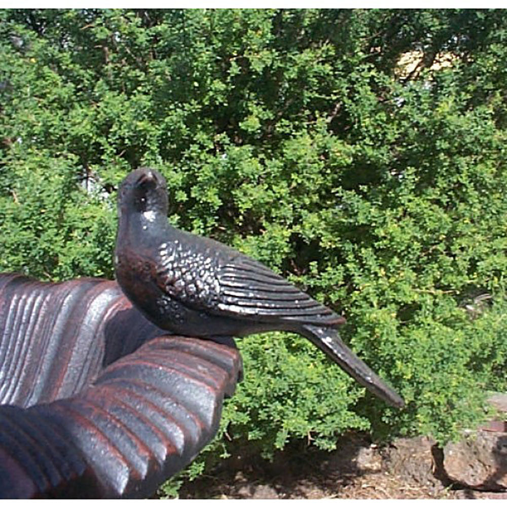 Somerset 100cm High Cast Iron Bird Bath - Antique White or Black Red