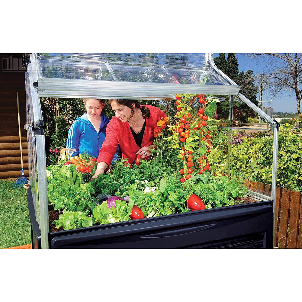 Sylvana Mini Greenhouse 1.2mx1.2m