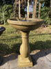 Fantasia Solar Bird Bath Water Feature with Lights