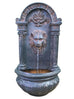 Eze Lion Face Wall Water Feature - Solar w/LED Light
