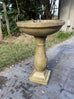 Fantasia Solar Bird Bath Water Feature with Lights