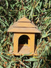Isla Native Bird Hangng Feeder. Antique Rust