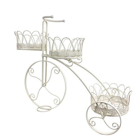 Calandra Tricycle Decorative Garden Display