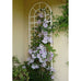 Babazon French Classical Vertical Wall Planter/Trellis - White or Black