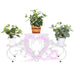 Sorella Metal Flower Pot Planter/Stand