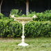 Celeste Small Decorative Cast Iron Bird Bath