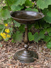 Valois Bird Bath/Feeder 75CM HIGH