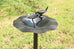 Serenity Bird Bath