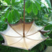 Umbrella-Shaped Bird Feeder