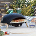Luxury Turtle Gas Pizza Oven w/Limestone Pizza Stone + Cover