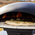 Luxury Turtle Gas Pizza Oven w/Limestone Pizza Stone + Cover