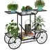 Jolie 6 Tier Parisian Style Garden Cart