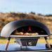 Luxury Turtle Gas Pizza Oven w/Limestone Pizza Stone + Cover
